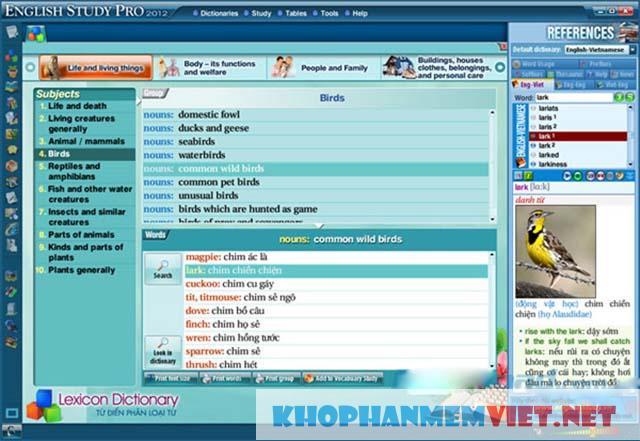 Phần mềm English Study Pro