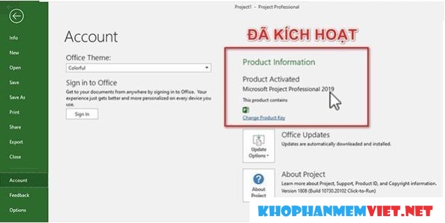 Hướng dẫn crack microsoft Project 2019 bằng AIO