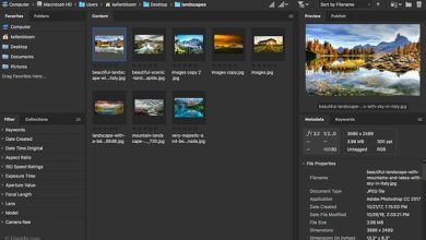 Phần mềm Adobe Bridge CC 2019