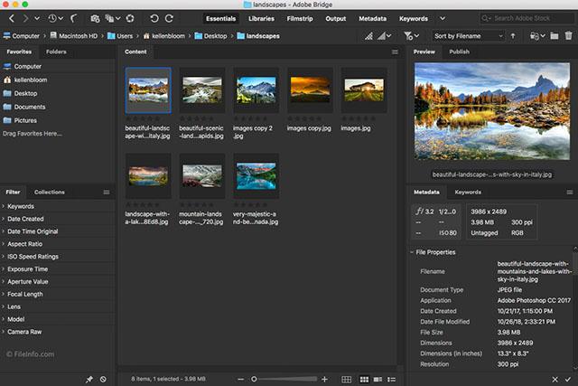 Phần mềm Adobe Bridge CC 2019