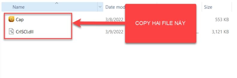 Copy hai file như hình minh họa