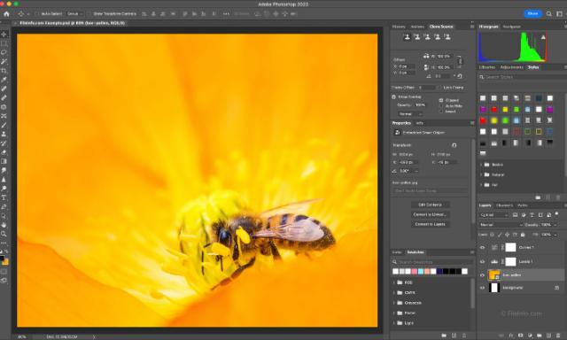 Photoshop 2023 với nhiều tính năng nổi bật